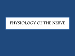 PHYSIOLOGY OF THE NERVE