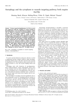 Autophagy and the cytoplasm to vacuole targeting pathway both