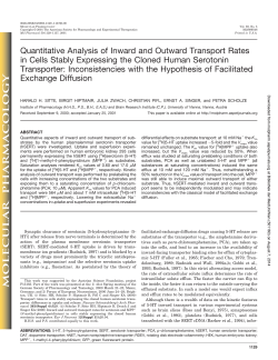 Quantitative Analysis of Inward and Outward Transport Rates in