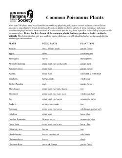 Common Poisonous Plants - Santa Barbara Humane Society