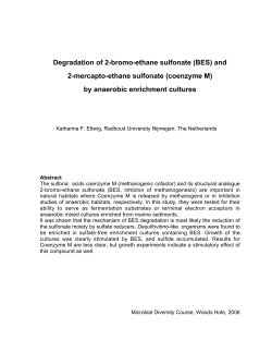 (BES) and 2-mercapto-ethane sulfonate