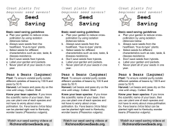 Great plants for beginner seed savers