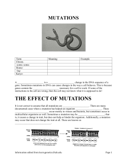 chromosome mutations - Moore Public Schools