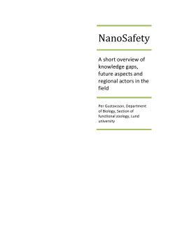 NanoSafety