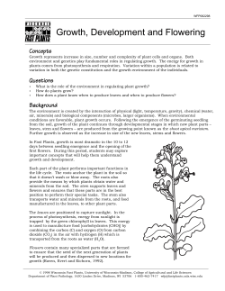 Growth and Development