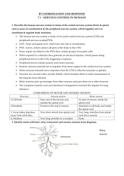 B7.1 Revision notes