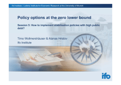 Policy options at the zero lower bound