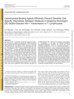 Carbohydrate-Binding Agents Efficiently Prevent Dendritic Cell
