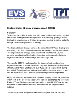 England Vision Strategy progress report 2015