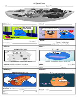 cell fill in