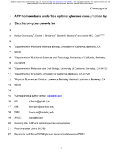 ATP homeostasis underlies optimal glucose consumption