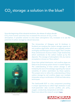 CO2 storage, a solution in the blue?