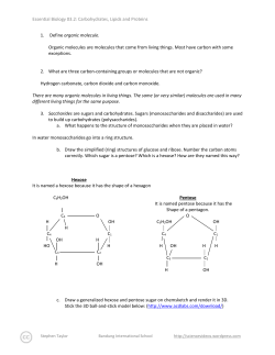 Nick`s-Essential+Biology+03.2+Carbohydrates,+Lipids+