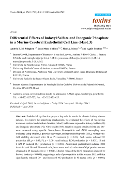 Differential Effects of Indoxyl Sulfate and Inorganic Phosphate in a