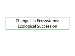 Ecological Succession