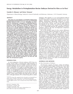 Energy Metabolism in Preimplantation Bovine Embryos Derived In