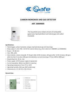 CARBON MONOXIDE AND GAS DETECTOR ART. 30009005