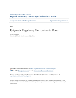 Epigenetic Regulatory Mechanisms in Plants