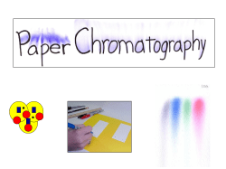 Paper Chromatography - Lincoln Park High School