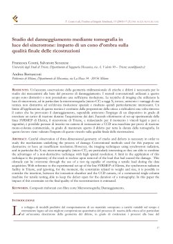 Studio del danneggiamento mediante tomografia in luce del