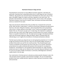 Household pets can be hosts to many different parasitic organisms