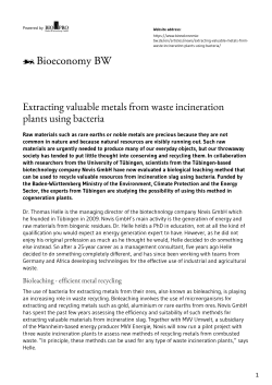 Extracting valuable metals from waste incineration plants using