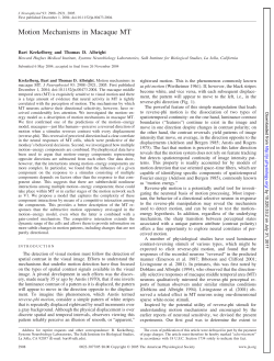 Motion Mechanisms in Macaque MT