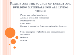 Plants are the source of energy and building materials for all living
