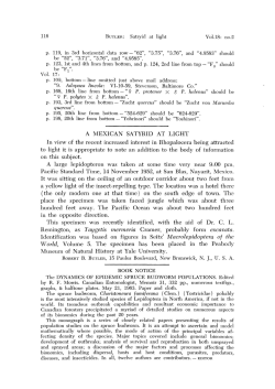 A MEXICAN SATYRID AT LIGHT In view of the recent increased