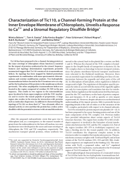 Characterization of Tic110, a Channel