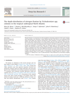 The depth-distribution of nitrogen fixation by Trichodesmium spp