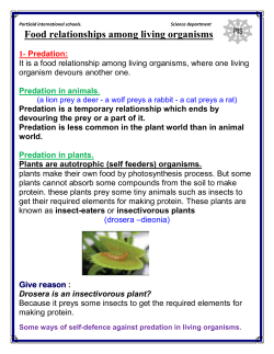 PortSaid international schools. Science department Food
