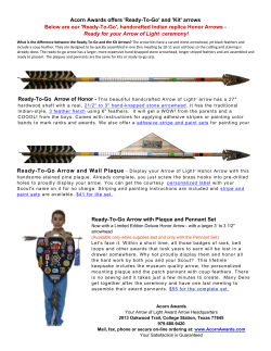 Ready-To-Go Arrow with Plaque and Pennant Set Acorn Awards