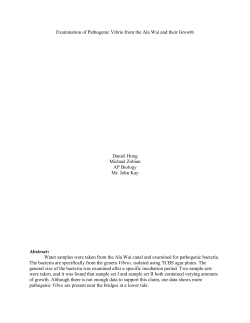 Growth of vibrio from the Ala Wai Estuary (2012)