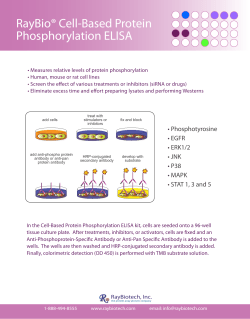 RayBio&reg; Cell-Based Protein Phosphorylation ELISA