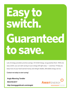 Lots of energy providers promise savings. At Ambit