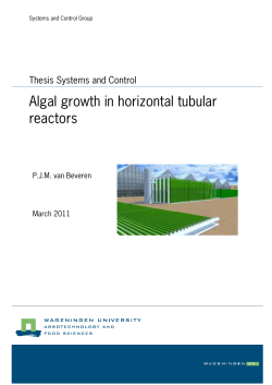 Algal growth in horizontal tubular reactors - Wageningen UR E