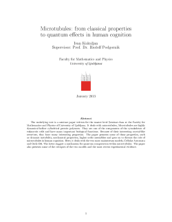 Microtubules: from classical properties to quantum e ects in human