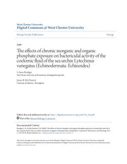 The effects of chronic inorganic and organic phosphate exposure on
