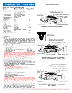 warmwater game fish