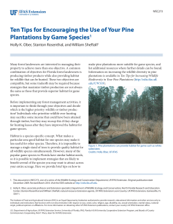 Ten Tips for Encouraging the Use of Your Pine Plantations by Game