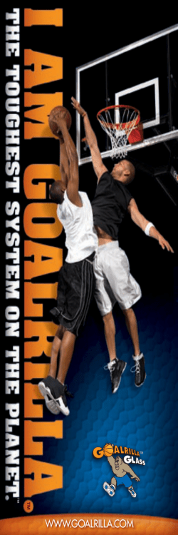 2008 Goalrilla Catalog - Merry Time Play Systems