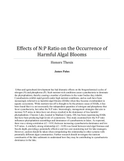 Effects of N:P Ratio on the Occurrence of Harmful Algal Blooms