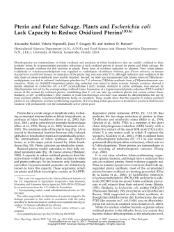 Pterin and Folate Salvage. Plants and