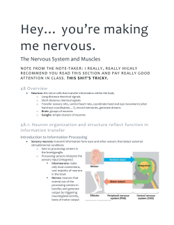 Nervous System - APBio10-11