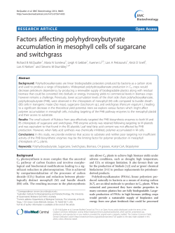 Factors affecting polyhydroxybutyrate accumulation in mesophyll
