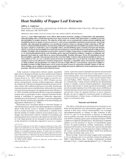 Heat Stability of Pepper Leaf Extracts