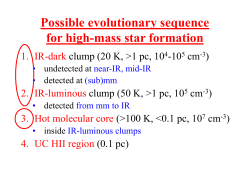 Disks, toroids and the formation of massive stars