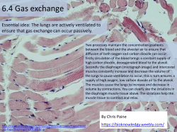 6.4 Gas Exchange
