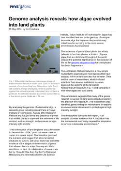 Genome analysis reveals how algae evolved into land plants